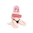 DickRiseCoin Logo