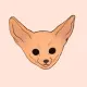 Fennec Fox