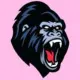 KONG CITY