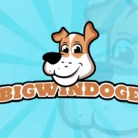 Bigwindoge Logo