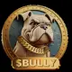 BULLY