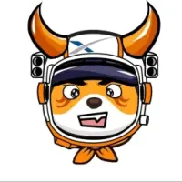 SpaceX Floki Logo