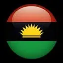 Ipob Token Logo