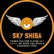 SKY SHIBA