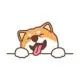 ShyShiba