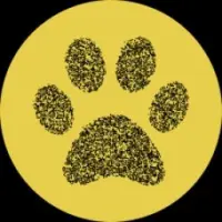 Ailuropodinae Logo