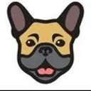 Frenchie Network Logo