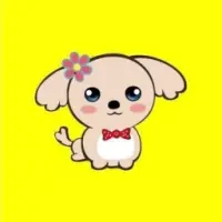K0Doge Logo