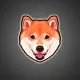 Miyu Inu