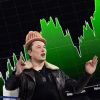 Elon Wif Hat Logo