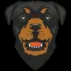 Rottweiler Inu