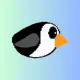 dashypenguin
