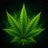 Dankzys DopeHouse Logo