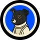 Ski Mask Laika