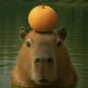 Official Capybara coin