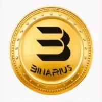 Binarius Finance Logo