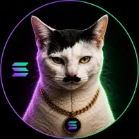 STACHE Logo