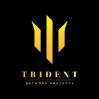 TRIDENT NETWORK Logo