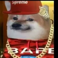 Lil Cheems Logo