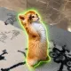 SALUTE CAT