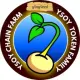 Ysoyseed