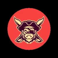 Nomeme Coin Logo