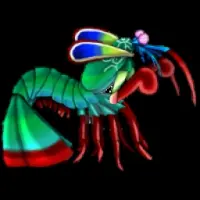 One Punch Mantis Shrimp Logo