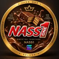 NASS ONE Logo