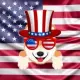 Shibmerican