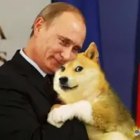 Putin War Doge Logo