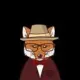 MisterFox