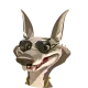 Coyoge