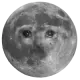 Mun Cat