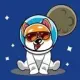 SHIBANAUT