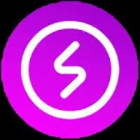 Salare Pay Logo