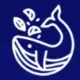 SendWhale