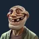 WenSer
