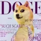 SexyDoge