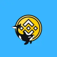 Bnb Killer Whale Logo