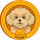 Poodle Haney