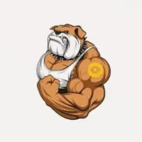 BullBog Logo