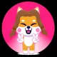Shiba Mom