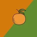 Orange Grove Logo