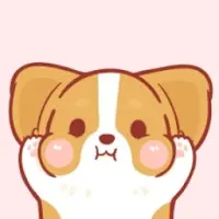 MiniBabyDoge Logo