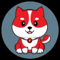 Burn Floki Logo