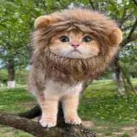 LionCat Logo