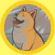 DefiBonk