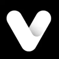 V Network Logo