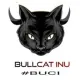 BullCat Inu