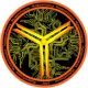 myteamfinance